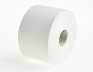 Versatwin White Toilet Tissue  - 2 ply